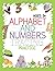 Alphabet and Numbers Tracin...