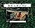 I want sleep (2002) ISBN: 4880121142 [Japanese Import]