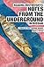 Reading Dostoevsky's Notes from the Underground in Russian by Mark Pettus