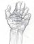 Joshua: The Artist's Notebo...