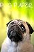 Pug Paper: Pug Notebook wit...