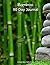 Bamboo 90 Day Journal: A Wh...