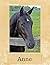 Anne: Black Horse Personali...