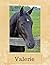 Valerie: Black Horse Person...