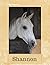 Shannon: Grey Horse Persona...