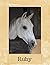 Ruby: Grey Horse Personalised Notebook (Large) (Grey Horse Personalised Notebooks)