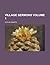 Village sermons Volume 1