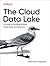 The Cloud Data Lake: A Guide to Building Robust Cloud Data Architecture