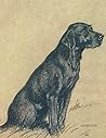 Notebook: Cecil Aldin Labrador Journal