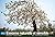ESSONNE NATURELLE ET SENSIBLE