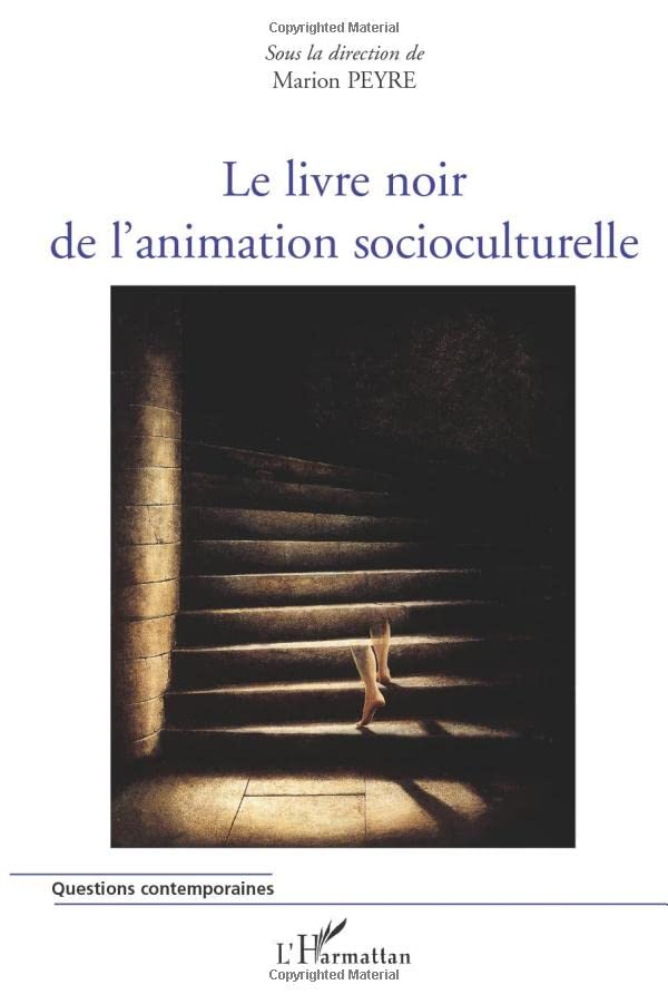 Le livre noir de l'animation socioculturelle (French Edition)