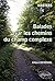 Balades sur les chemins du champ complexe - Masters by Gilbert Demengel