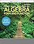 Algebra: Form and Function,...