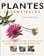 Les plantes essentielles