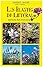 Les plantes du littoral