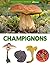 Champignons