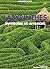 Labyrinthes : Symboles et e...