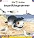 Le petit loup de mer