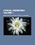Ethical Addresses Volume 1