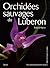 Orchidées sauvages du Lubéron