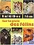 KaléiDoc : Les félins