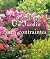 Un jardin sans contraintes