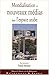 Mondialisation et nouveaux médias dans l'espace arabe by Franck Mermier