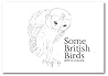 Some British Birds