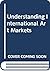 Understanding International Art Markets by Iain Robertson