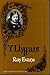 Y Llyffant by Ray Evans