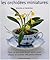 Les Orchidées miniatures
