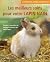 "choyer son animal domestiq...
