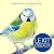 Le Kit Oiseaux