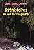 Préhistoires au sud du Triangle d’or (Hors collection) (French Edition)