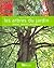 Les Arbres du jardin : Choi...