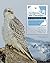 Gyrfalcons and Ptarmigan in...