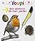 Les oiseaux de mon jardin