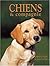 Chiens & compagnie. Comment...