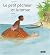 Le petit pêcheur et la tortue