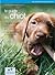 Mon chiot (French Edition)
