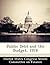 Public Debt and the Budget,...