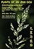 Plants of Jiu Zhai Gou. by David Z