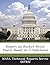 Report on Rocket Power Plan...