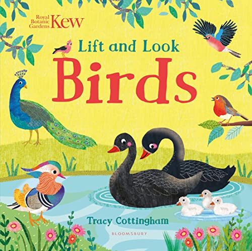 Kew: Lift and Look Birds (Board Book)