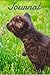 Journal: Kitten Journal