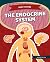 Endocrine System (Body Systems)