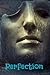 Perfection Journal