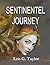 Sentinentel Journey (Hugh Turley, Detective Novels Book 4)