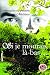 Si je mourais là-bas...