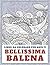 Bellissima balena - Libro d...